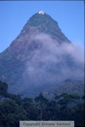 view from foot of Sri Pada